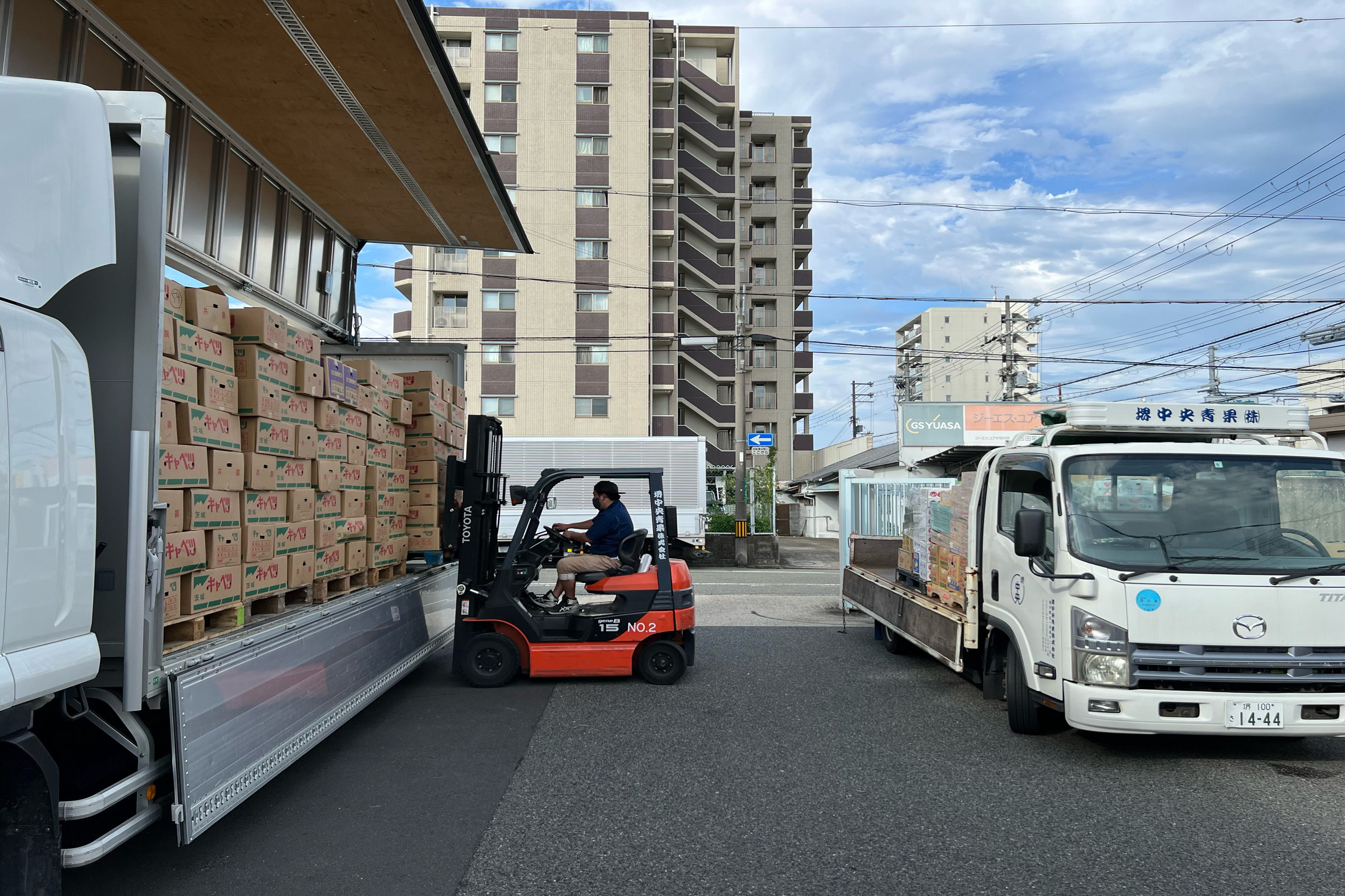 野菜1